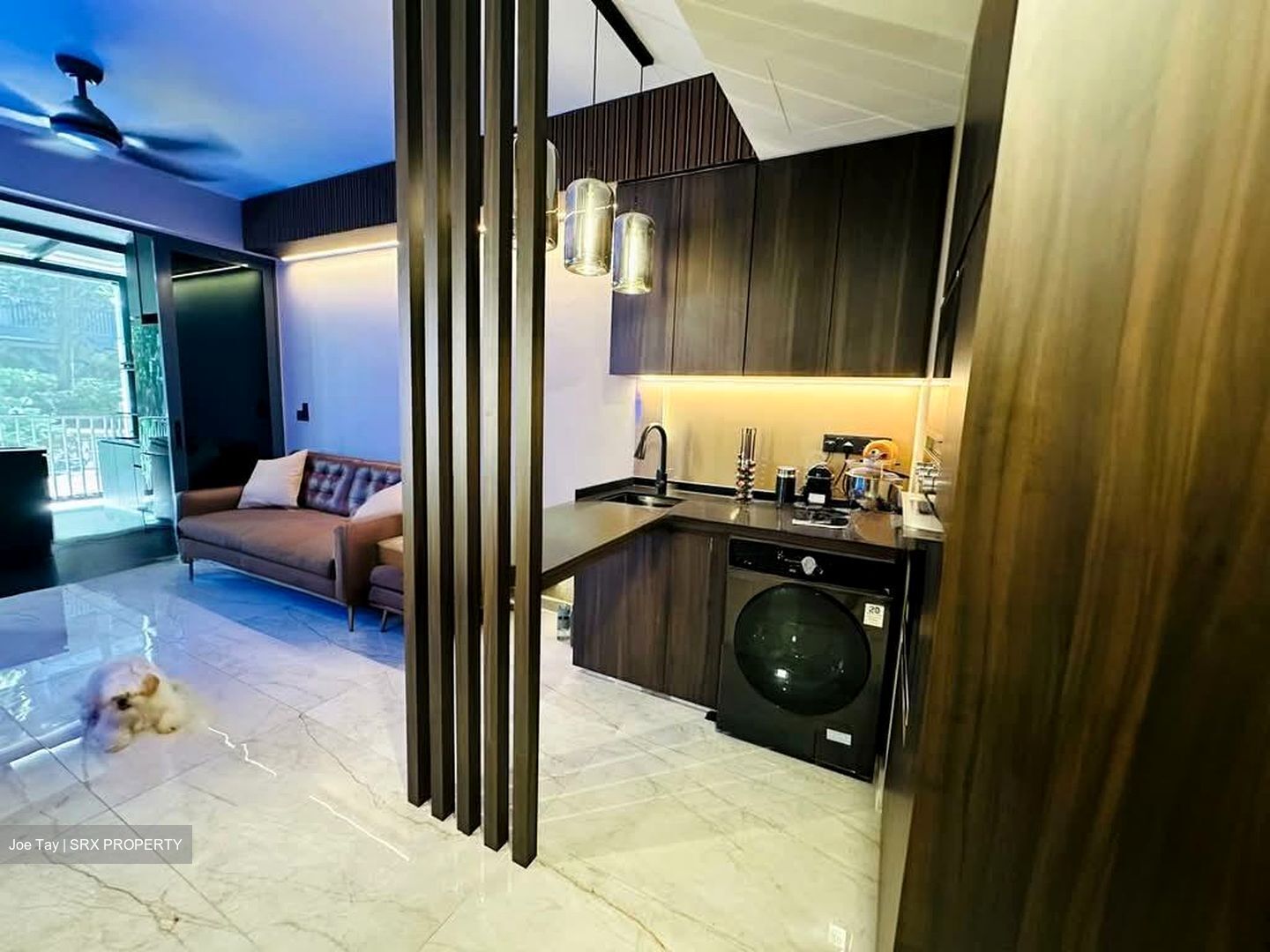 Parc Centros (D19), Condominium #602932391